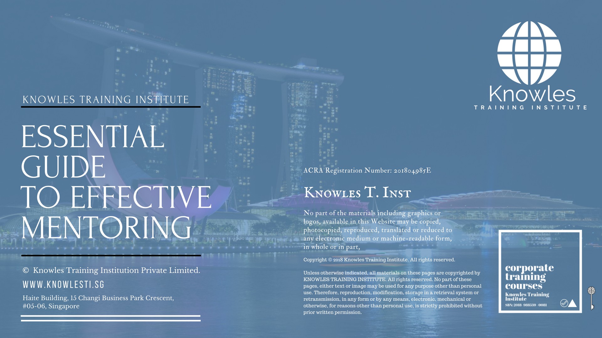 Essential Guide To Effective Mentoring Course in Norway